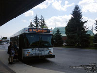 Barrie Transit 66804 - 2004 New Flyer D40LF