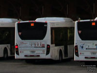 Autobus Transcobec SURF 625