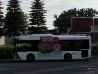 Autobus Transcobec SURF 626