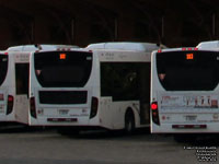 Autobus Transcobec SURF 626