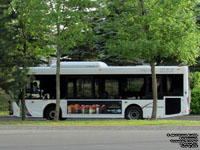 Autobus Transcobec SURF 627