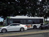 Autobus Transcobec SURF 629