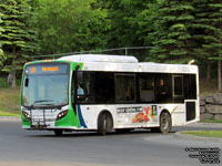 Autobus Transcobec SURF 631