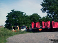 Belleville Transit retired buses