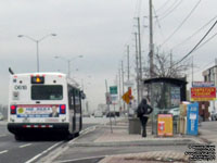 Brampton Transit 0618 - 2006 NovaBus LFS