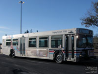 Calgary Transit 7730 - 2001 New Flyer D40LF