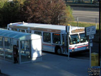 Calgary Transit 7915 - 2005 New Flyer D40LF