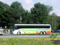 Coach Canada - Trentway-Wagar 86003 - 2008 MCI J4500 (Safeway Tours)