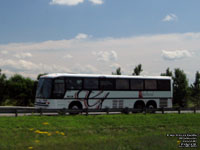 Galland 433 - 1998 Dina Marcopoli Viaggio