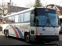 Greyhound Canada - Gray Line Ottawa 7679 - Ex-PMCL 679