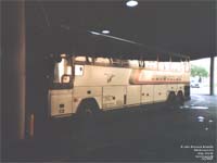 Grey Goose (1991-93 Prevost H3-40)