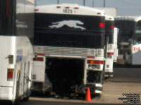 Greyhound Canada 1025 (1998 MCI 102DL3)