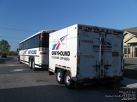 Greyhound Canada 1173 (2001 MCI D4500) and GCX 3101