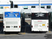 Greyhound Canada 1196 (2001 MCI D4500) and GLI 7247 (2003 MCI G4500)