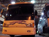 Greyhound Canada 1302 (2006 MCI D4505)