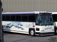 Greyhound Canada 1304 (2006 MCI D4505)