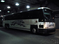 Greyhound Canada 1313 (2000 MCI 102DL3) - Ex-Hotard Coaches, Exx-DC Trails DC-10