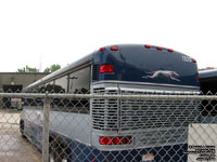 Greyhound Canada 1325 (1999 MCI 102DL3) - Ex-Hotard Coaches