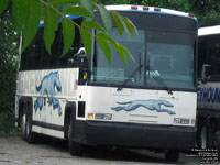 Greyhound Canada 3406 - ex-Greyhound Lines 1027 (1997 MCI 102DL3)