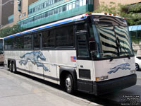 Greyhound Lines 6339 (1999 MCI 102DL3)