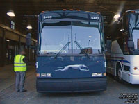 Greyhound Lines 6463 (1999 MCI 102DL3 rebuilt)