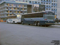 Greyhound Canada 1298 (2006 MCI D4505)