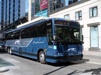 Greyhound Lines 86025 - 2009 Prevost X3-45 (on the Canadian route between Toronto and Ottawa)