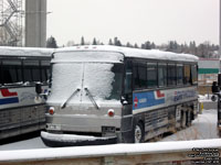 Greyhound Canada 965 (1995 MCI 102DL3)