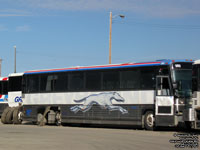 Greyhound Canada 980 (1995 MCI 102DL3)