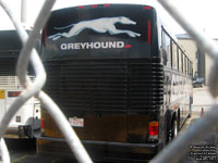 Greyhound Canada - Ex-Funkmaster Flex?