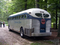 Greyhound Silverside 9195