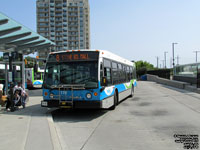 Guelph Transit 175 - 2003 NovaBus LFS