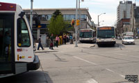 Guelph Transit