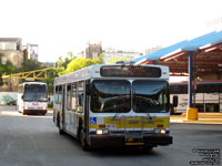 HSR 0407 - 2005 New Flyer D40LF