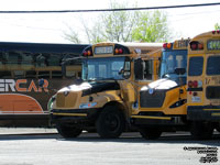 Intercar School Bus