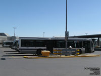 STL 0921 - 2009 NovaBus LFS