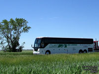 McCoy Bus Service 234