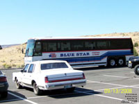 Blue Star 12