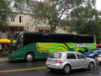 Cavallo 246