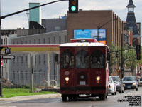 Kingston Trolley Tours 703