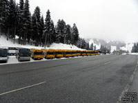 Stevens Pass Bus Lot