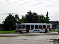 Mississauga Transit 0531 - 2005 New Flyer D40LF - Malton Garage