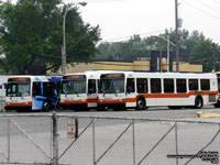 Mississauga Transit 0721, 0876 & 0622  - 2006-08 New Flyer D40LFR and D60LFR - Central Parkway Garage