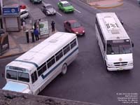 A Lozano bus