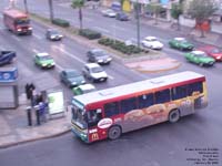 Monterrey transit bus