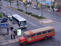 Monterrey transit bus