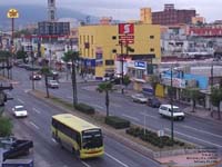 Monterrey transit bus