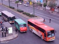 Monterrey transit bus