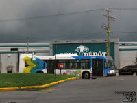 STM 29-074 - 2009 NovaBus LFS