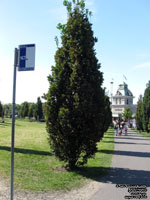 STM route 167 sign - La Ronde